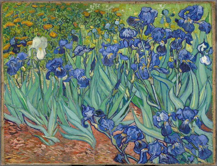Por trás dos Girassóis de Van Gogh - blog de psicologia Melkberg - Van Gogh - pintor - Theo - irmão - arte - ano - vida - sofria 